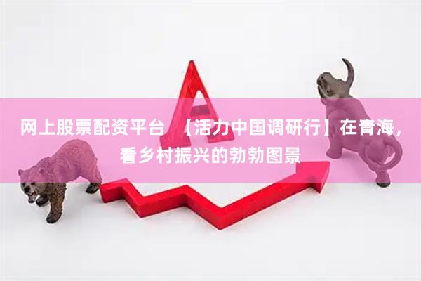 网上股票配资平台  【活力中国调研行】在青海，看乡村振兴的勃勃图景